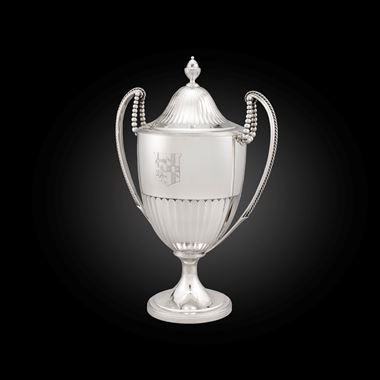 Baronet Lawson's Cup & Cover